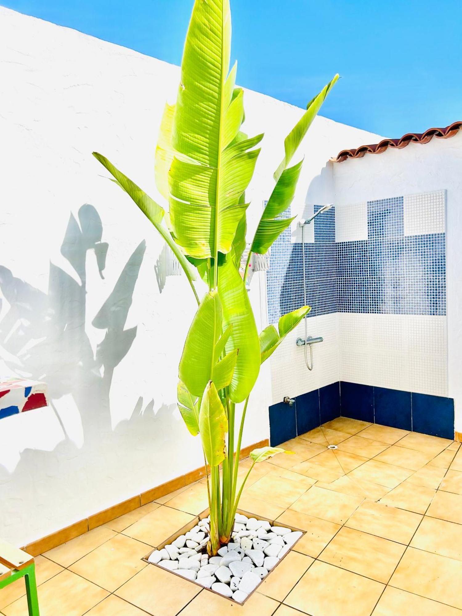 Oasis Beach Holiday Home With Jacuzzi Playa del Ingles  Exterior photo